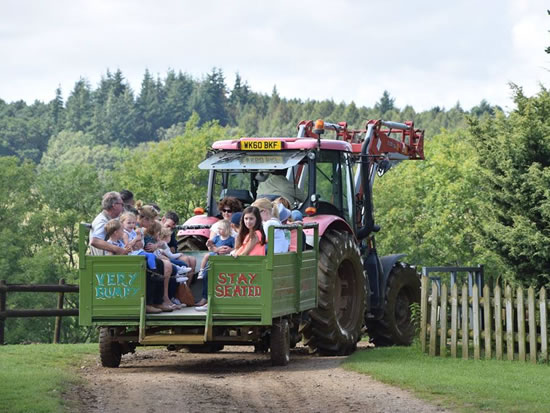 Dorset Heavy Horse Farm Park - Tractor Rides